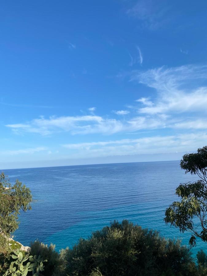 Résidence Casa u fornu LʼÎle-Rousse Exterior foto